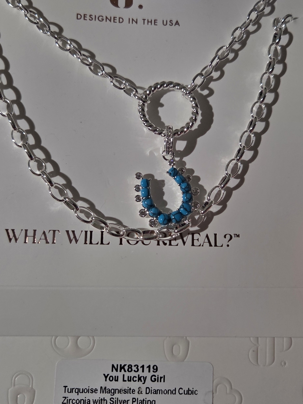 You Lucky Girl Turquoise Horseshoe Necklace in Silver